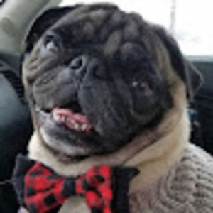 Meet your Posher, Kira